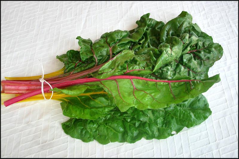 Bright Lights Chard can be recognized by its colorful stems. JACK CLEMONS PHOTO